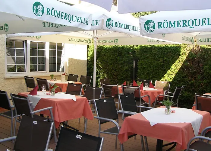 Restaurant Lauriacum 4* إنس